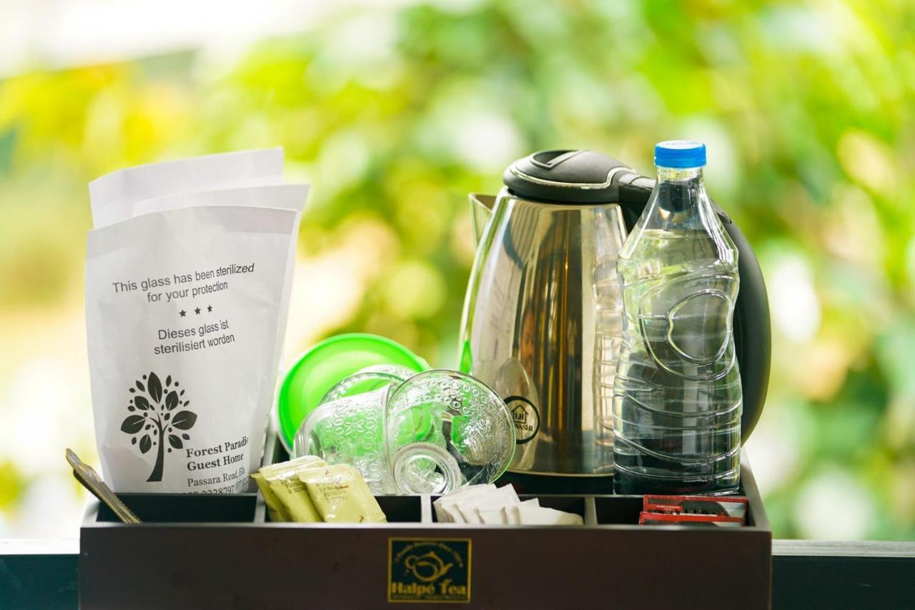Ella Forest Paradise Hotel 외부 사진